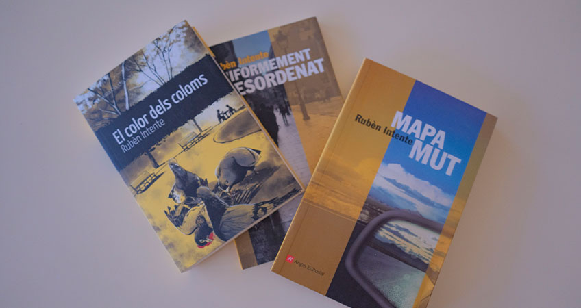 Premi literari de novel·la 